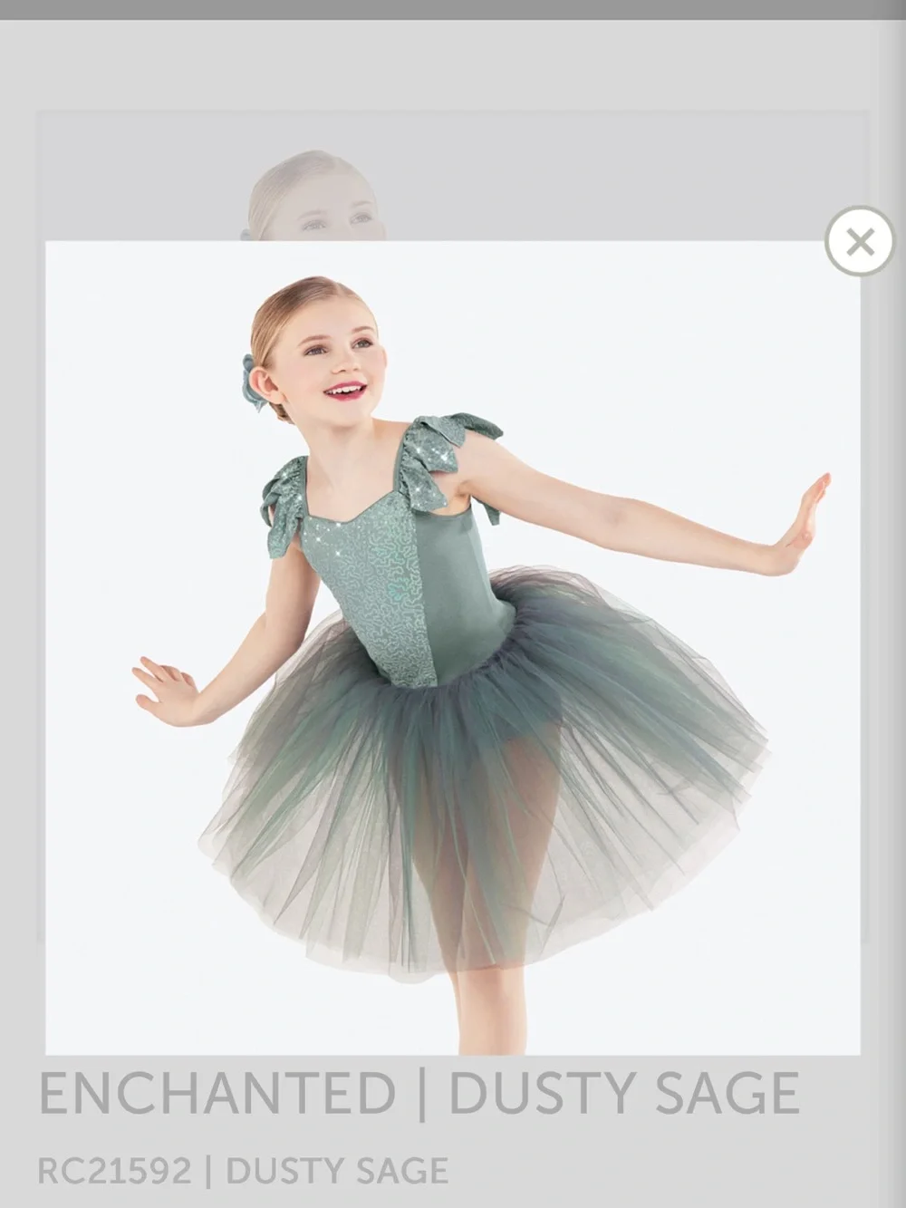 Revolution Enchanted Dusty Sage Tutu Costume - Size: large child